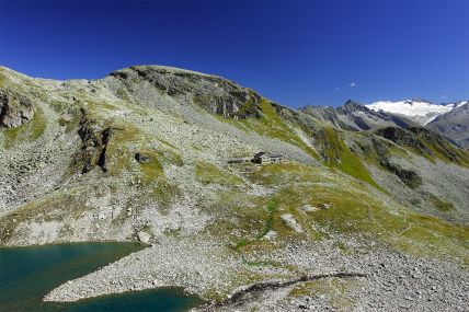friesenberghaus.jpg