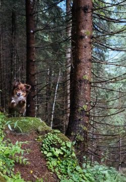 _DSC0779.jpg"