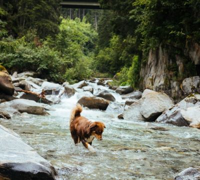 _DSC0836.jpg"