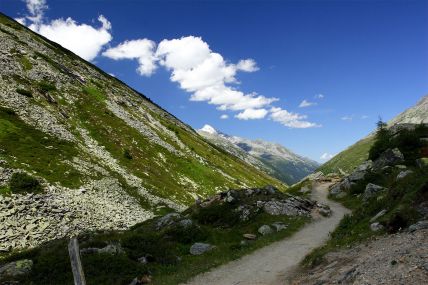 pfitscherjoch1.jpg